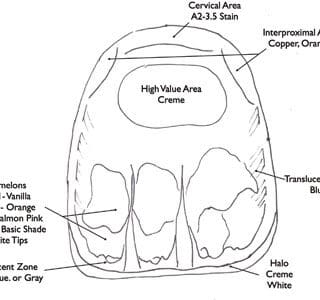 tooth color map